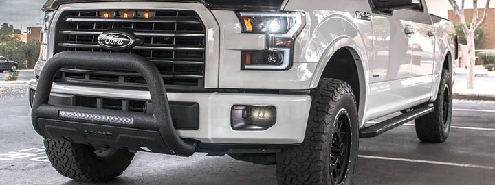 Ford F-250 brush guard