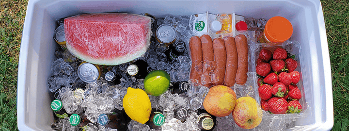 Portable Ice chest or cooler