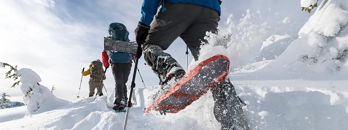 snowshoes in the powder