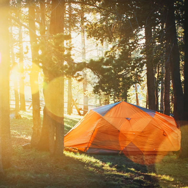Orange tent pitched in a sunlit forest