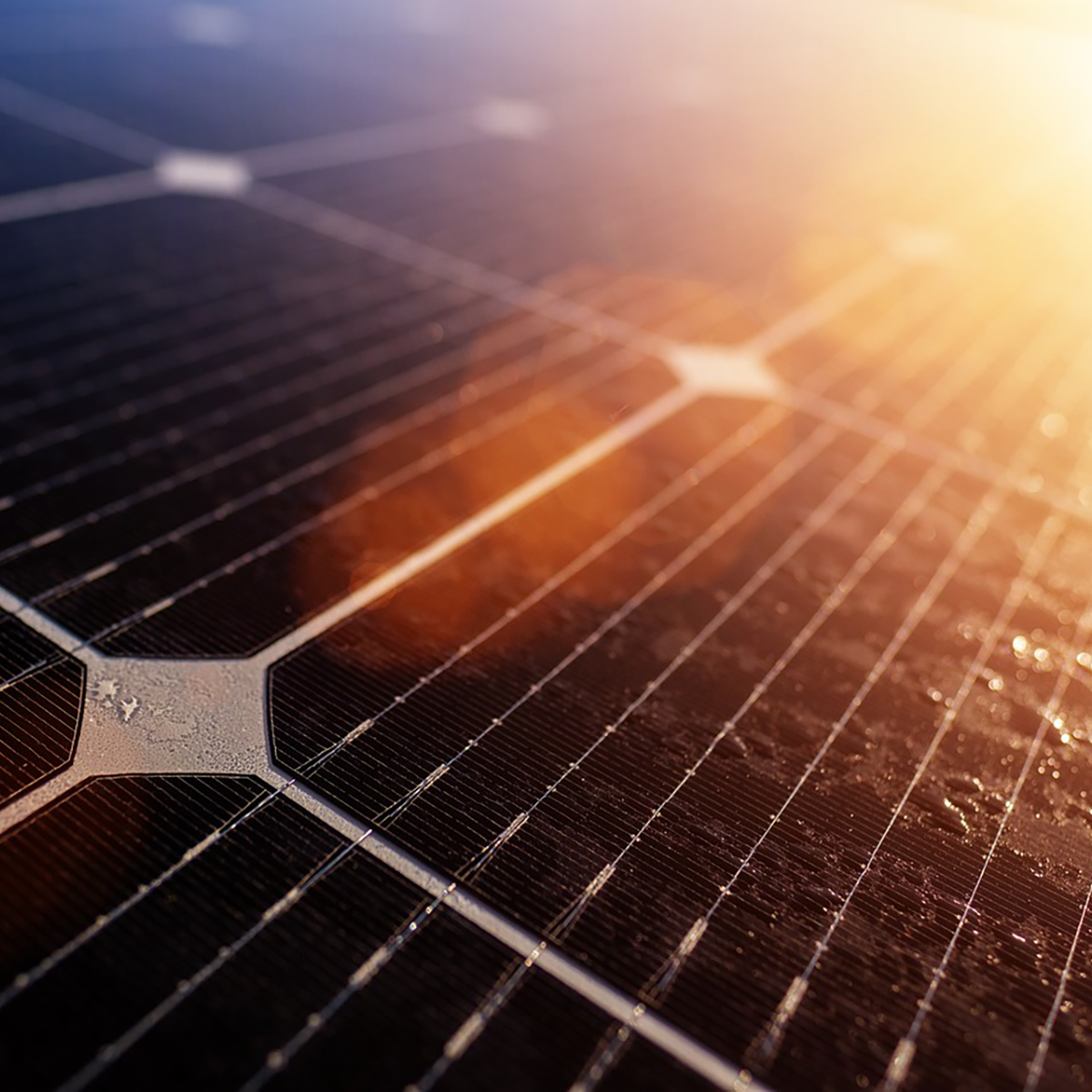 Overlander with Solar Panels