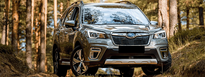 Subaru Forester in the woods