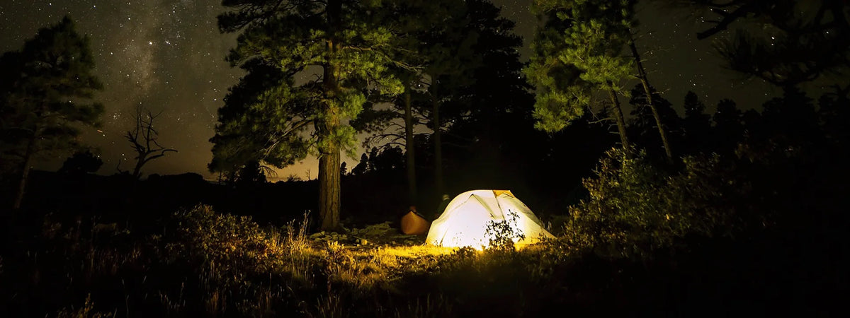 Camp lights