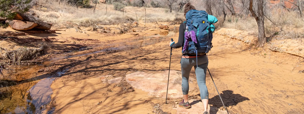 large backpack