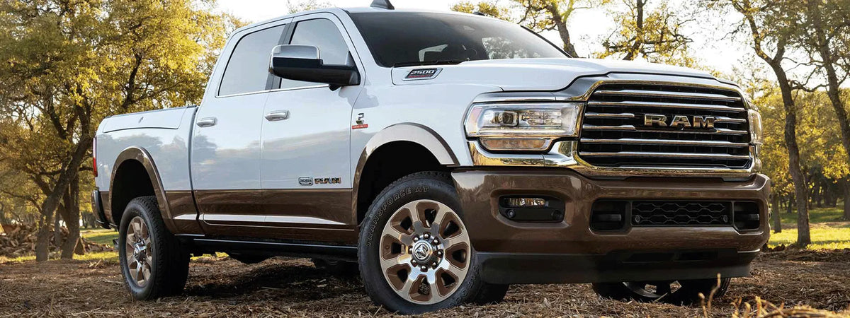 2021 Ram 2500 in trees