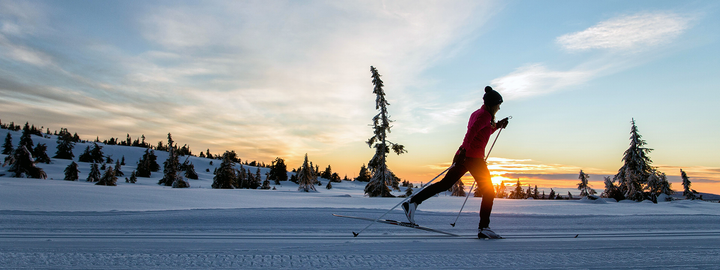 cross-country skiing at sunrise