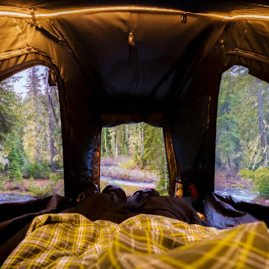 View from inside a Free Spirit Aspen Pro rooftop tent looking out over the forest