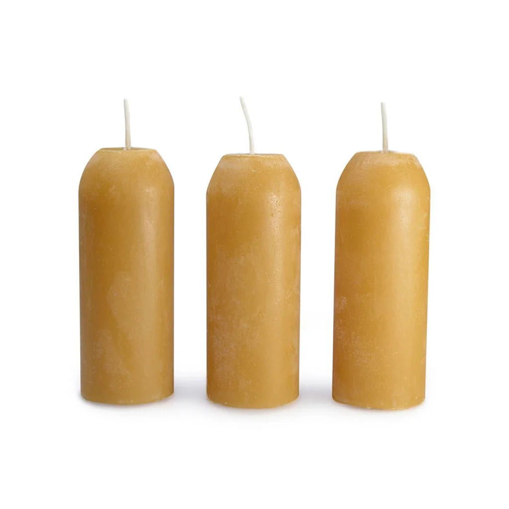 12-Hour Beeswax Candles for Campers | GearLanders
