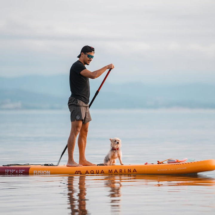 Person paddleboarding on a lake with a dog