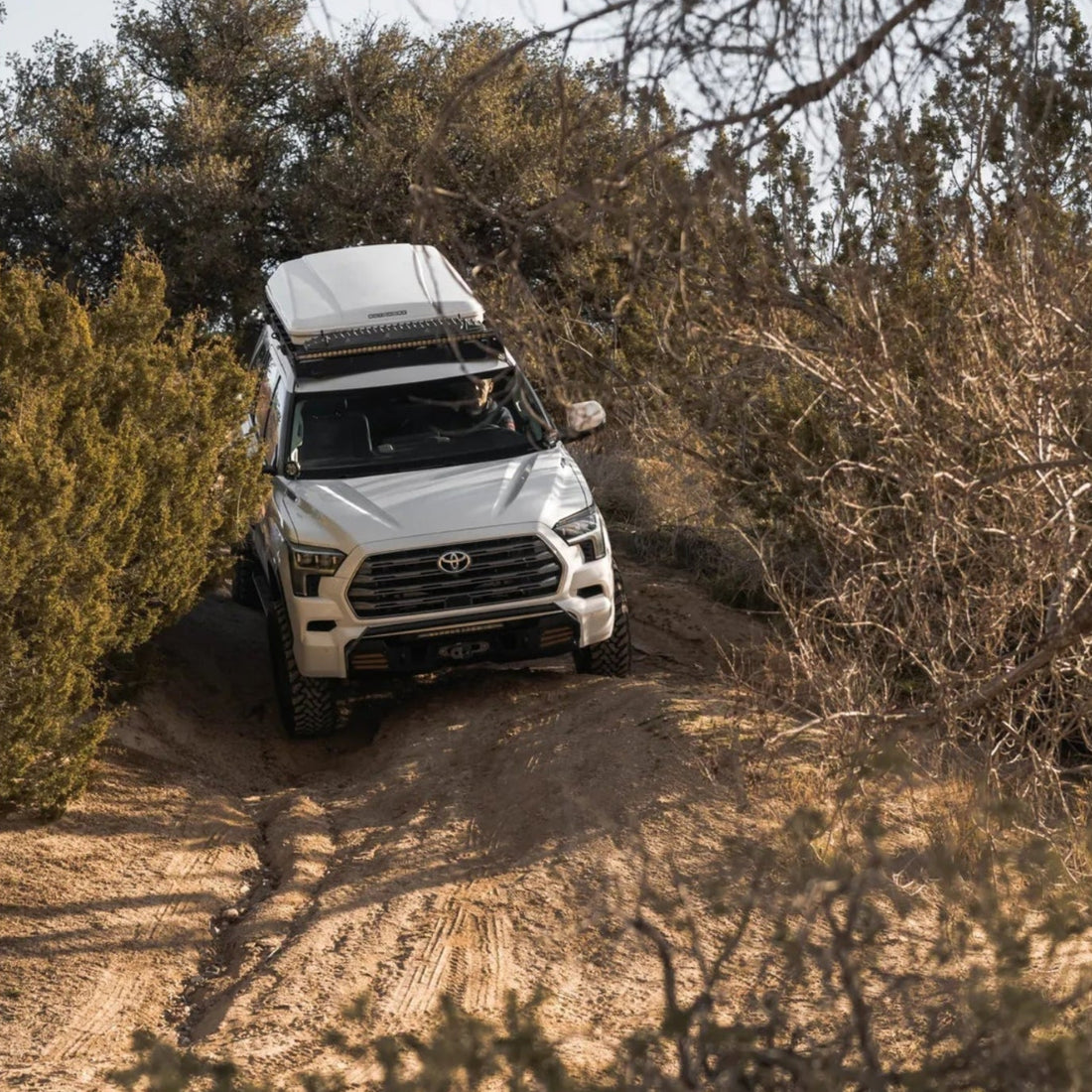 Prinsu rack and CBI front path on Sequoia trail lifestyle