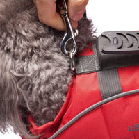 Rover Floater | Man's Best Friend PFD