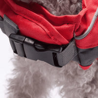 Rover Floater | Man's Best Friend PFD