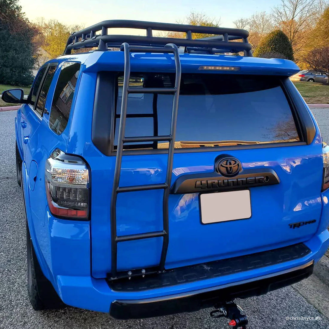 4Runner Roof Rack Ladder